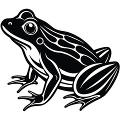 frog-vector-icon-.eps