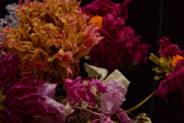 Arrangement of dried flowers on black background. Dark mood with warm pink and orange tones.