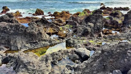 The stunning rocky coastline has mesmerizing tide pools and crashing waves beneath a clear blue sky
