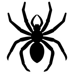 Obraz premium Black silhouette of a garden spider perfect for insect or nature designs