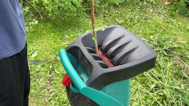 Using a chipper in eco-friendly gardening. Making sawdust with a branch shredder. A person places branches in an electric shredder.