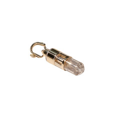 Gold-Tone Metal and Clear Acrylic Capsule Keychain with Carabiner Clip