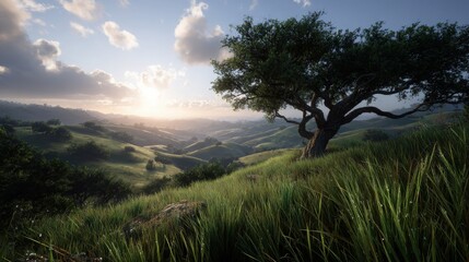 Obraz premium A serene landscape featuring a lone tree on rolling green hills at sunrise.