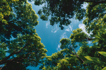 Obraz premium Clear blue sky and green trees seen from below. Carbon neutrality concept presented in a vertical format. Pictures for Earth Day or World Environment Day desktop backgrounds.&nbsp;