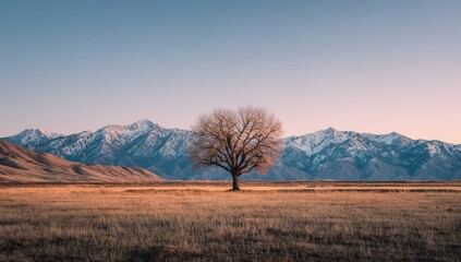 Obraz premium Chrono-Fieldscape