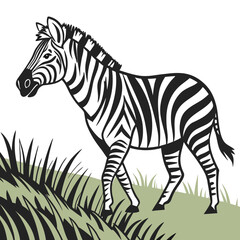 Obraz premium A Zebra Standing in a Field of Grass