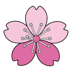 Fototapeta premium Art of delicate cherry blossom flower with pink petals, isolated on white background a symbol of spring, beauty, and renewal in japanese culture