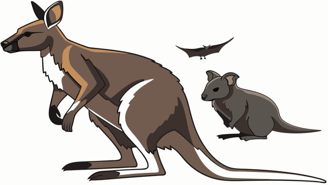 Illustrated Wallaby RatKangaroo and Bat Trio.