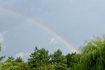 rainbow in the sky