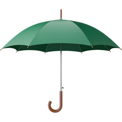Green Umbrella With Wooden Handle