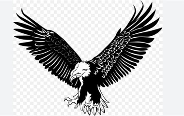  Majestic eagle in flight.