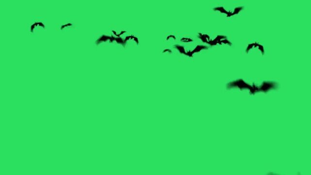Realistic black bat flying on a green background.