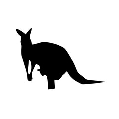 A timeless image, capturing the kangaroo's enduring spirit.