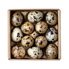 Fototapeta premium Box of quail eggs, isolated on white and transparent background.