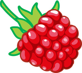 vector illustration of a raspberry