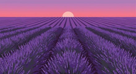 Obraz premium Purple fields stretch into the pink sunrise, creating a peaceful scene