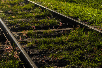 Overgrown train tracks: Nature reclaiming urban decay, contrasting metal and vibrant vegetation. Symbolizes time and railway abandonment in Brazil © AlfRibeiro