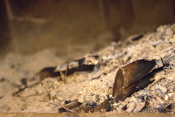 Ash remains in the fireplace