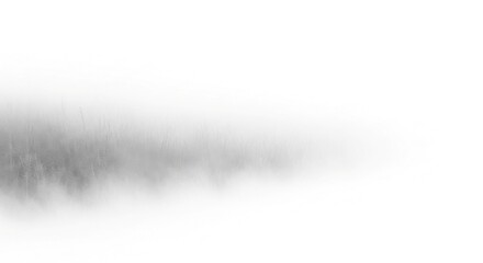 Foggy forest abstract background isolated PNG with Transparent Background