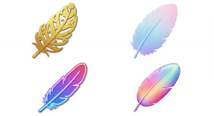 Fototapeta premium Four colorful decorative feathers design elements