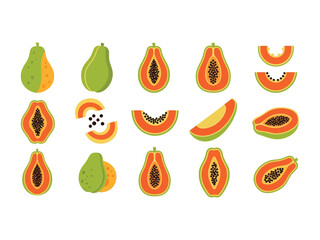 Papaya Variations Illustration: A colorful, graphic illustration showcases various papaya forms and cutaways, emphasizing the vibrant hues and intricate internal design of this tropical fruit.