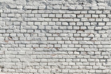 Fototapeta premium Brick wall banner