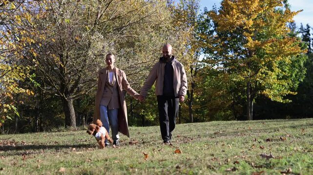 Toy poodle joyfully walking in an autumn park, surrounded by colorful leaves and trees, with two people holding hands, enjoying a beautiful day outdoors