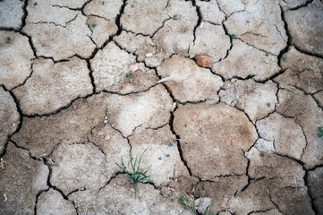 Dry cracked earth as a background close-up.