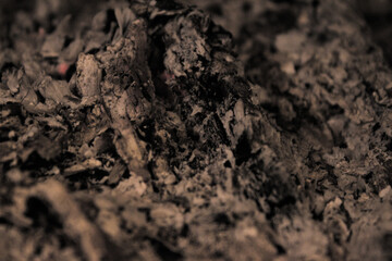 Ash in the fireplace during the extinguishing process