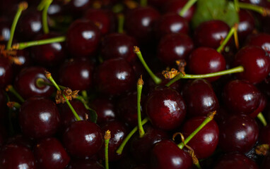 So many red cherries shine brightly