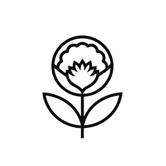 Globe amaranth flower outline icon