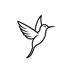 Obraz premium hummingbird vector illustration