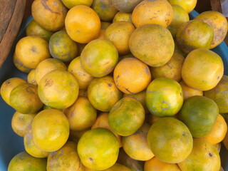 pile of fresh oranges that have just been harvested