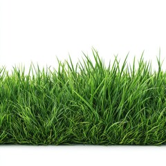Lush green grass against white background