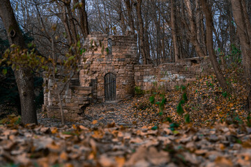 dramatic October Halloween aesthetic forest bare branches and brown falling leaves environment space with stone castle ruins landmark