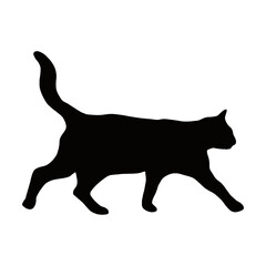 Cat Free Icon