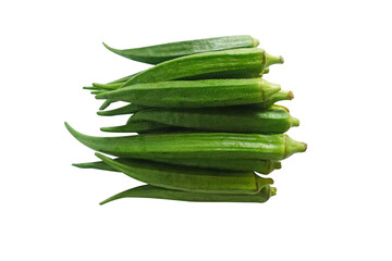 fresh okra or ladyfinger isolated on white background
