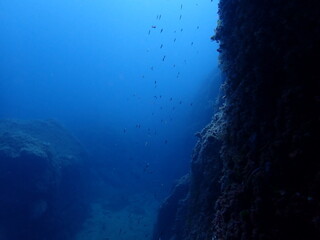 Paisaje marino 2