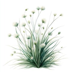 A lush, stylized clump of grass with delicate white flowers
