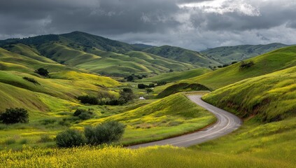 Winding road through a valley of rolling hills, vibrant green and yellow wildflowers