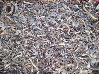 A loosely gathered pile of wood shavings is shown, made up of thin, curled pieces in light beige and tan tones