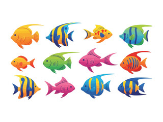 Fototapeta premium Colorful Fish Varieties: Showcasing a vibrant array of tropical fish, this illustration captures the diversity and beauty of aquatic life, perfect for educational content or design projects.