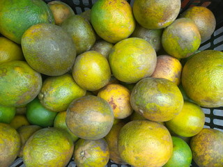 pile of fresh oranges that have just been harvested