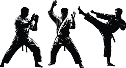 Karate poses illustration, martial arts training, defensive stance, high kick, ready position, karate uniform, combat technique, dojo practice, athletic movement, discipline art
