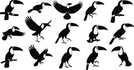 Toucan silhouettes collection, tropical bird poses, flying toucan shapes, perched bird outlines, large beak profile, exotic wildlife illustration