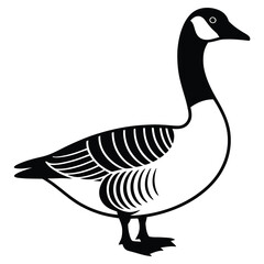 goose isolated on white background