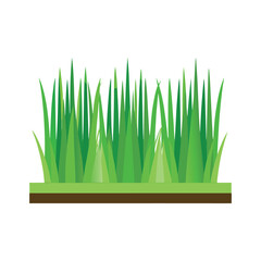 verdant grass tufts row flat vector illustration