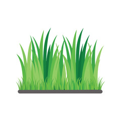 verdant grass tufts row flat vector illustration