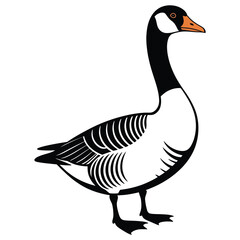 goose on white background