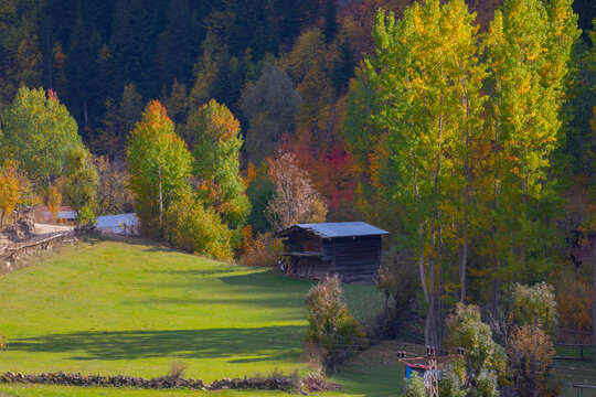 Şavşat (Georgian: შავშეთი, romanized: shavsheti) is a town in Artvin Province in the Black Sea region, between the cities of Artvin and Kars